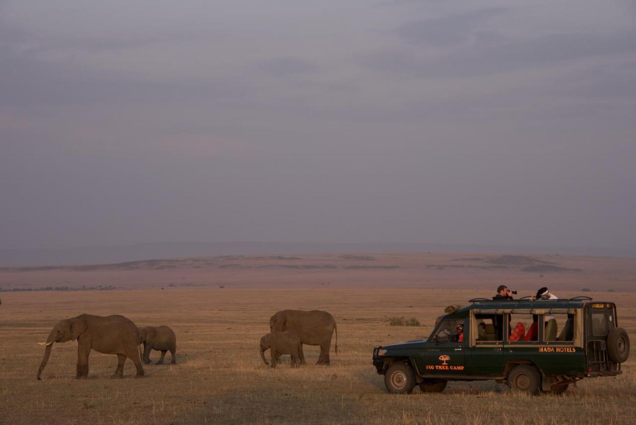 Fig Tree Camp - Maasai Mara Hotel Talek Luaran gambar