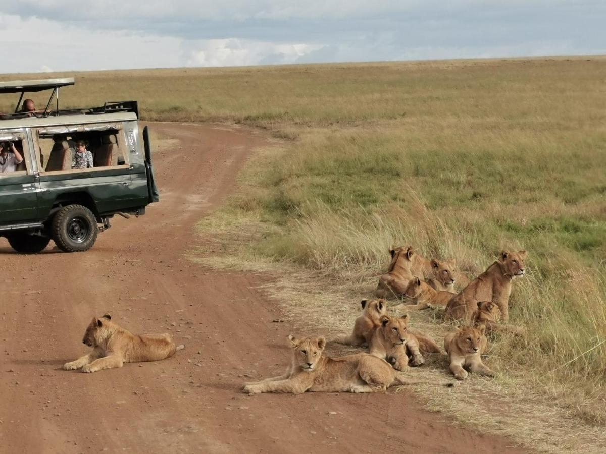 Fig Tree Camp - Maasai Mara Hotel Talek Luaran gambar