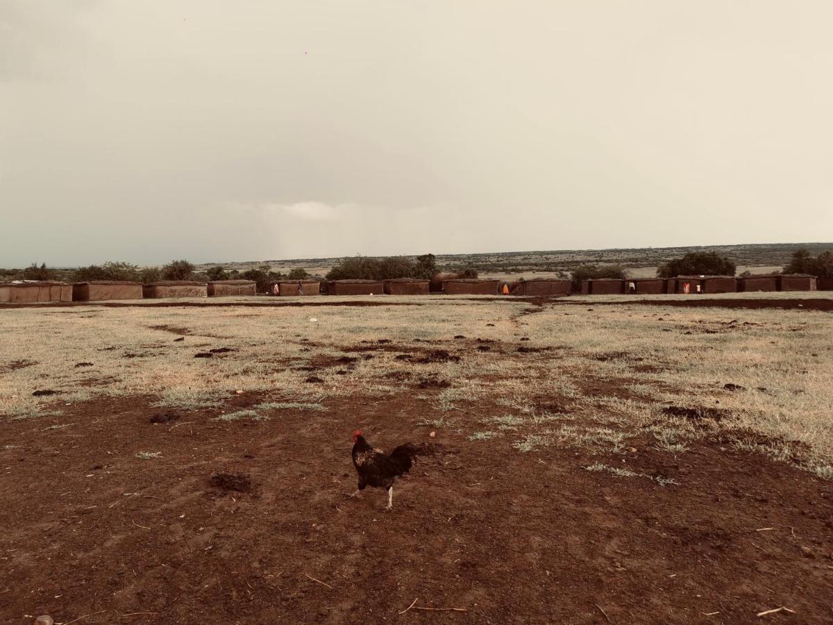 Fig Tree Camp - Maasai Mara Hotel Talek Luaran gambar