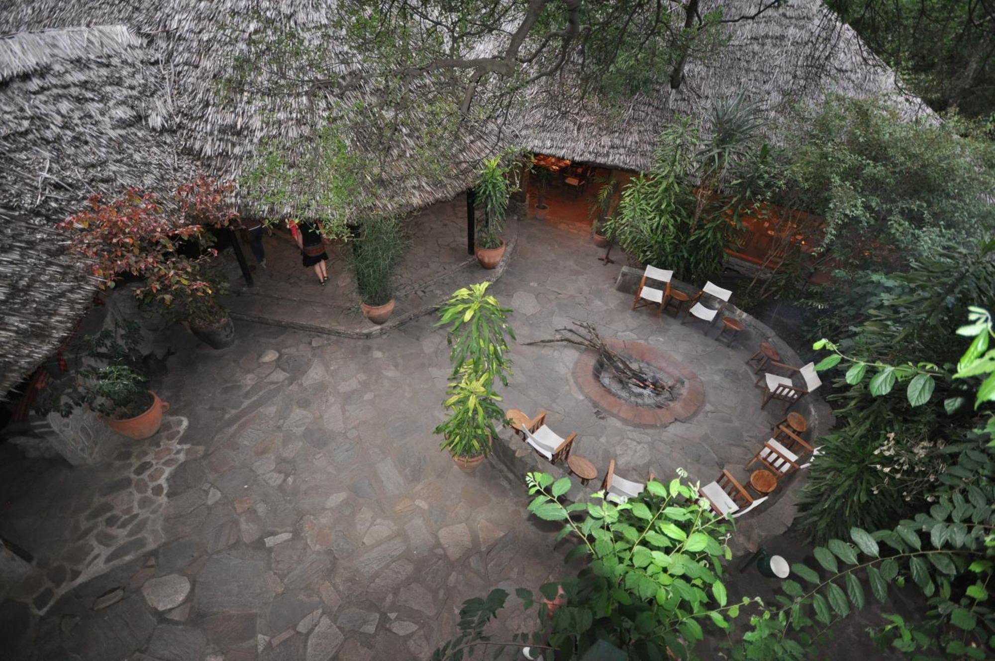 Fig Tree Camp - Maasai Mara Hotel Talek Luaran gambar
